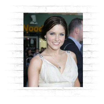 Sophia Bush Poster