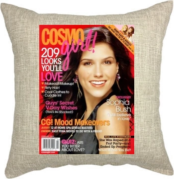 Sophia Bush Pillow