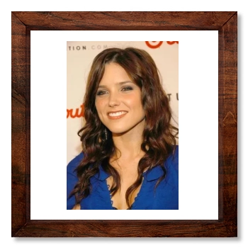 Sophia Bush 12x12