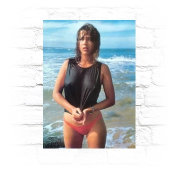 Sophie Marceau Metal Wall Art