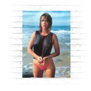 Sophie Marceau Poster