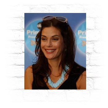 Teri Hatcher Metal Wall Art