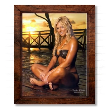 Torrie Wilson 14x17