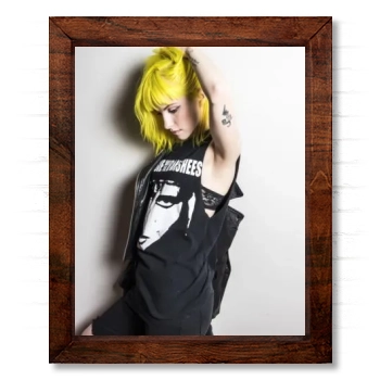 Hayley Williams 14x17