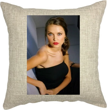 Heidi Mueller Pillow