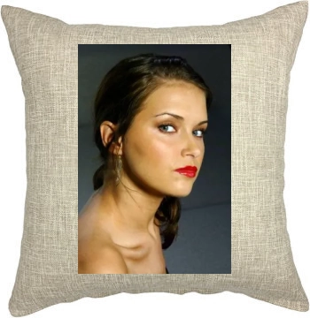 Heidi Mueller Pillow