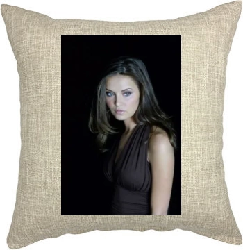 Heidi Mueller Pillow