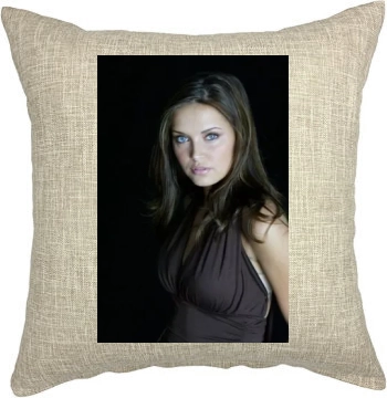 Heidi Mueller Pillow