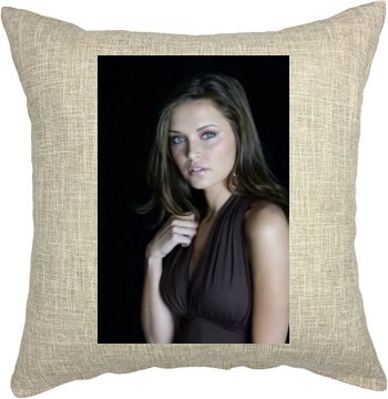 Heidi Mueller Pillow