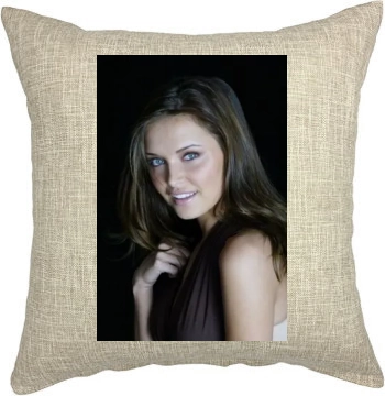 Heidi Mueller Pillow