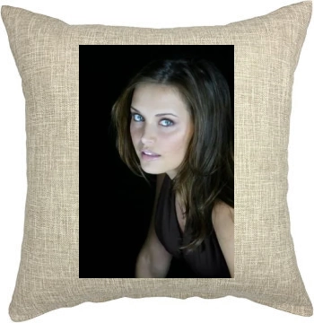 Heidi Mueller Pillow