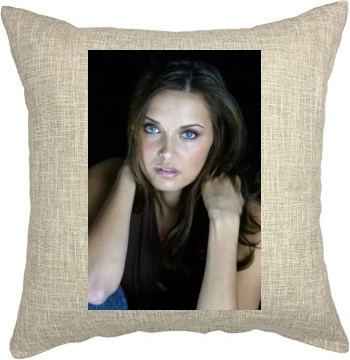 Heidi Mueller Pillow