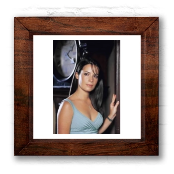 Holly Marie Combs 6x6