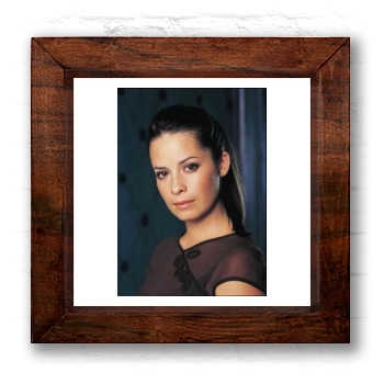 Holly Marie Combs 6x6