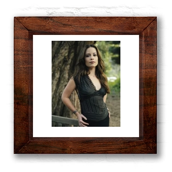 Holly Marie Combs 6x6