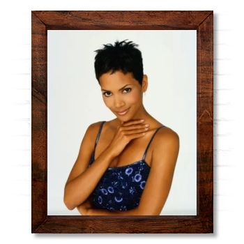 Halle Berry 14x17