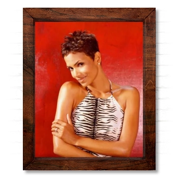 Halle Berry 14x17