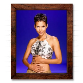 Halle Berry 14x17