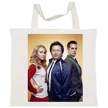 Hayden Panettiere Tote