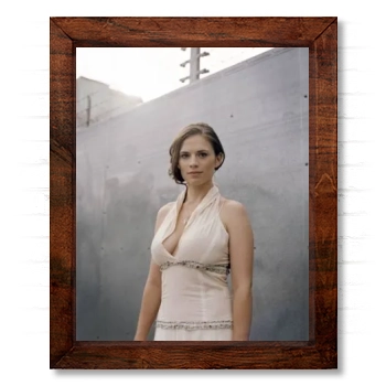 Hayley Atwell 14x17