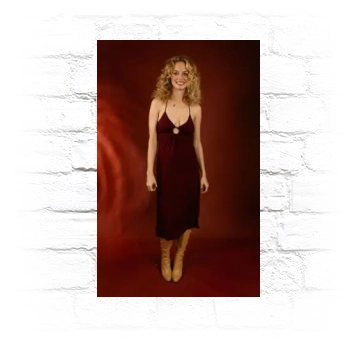 Heather Graham Metal Wall Art