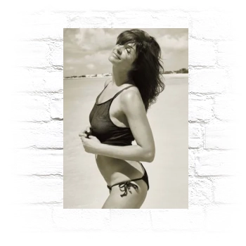 Helena Christensen Metal Wall Art