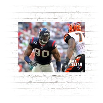 Houston Texans Poster