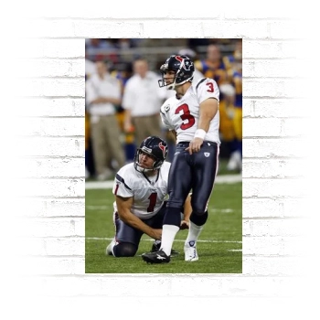 Houston Texans Poster