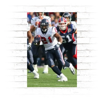 Houston Texans Poster