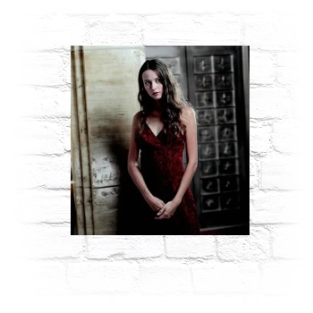 Amy Acker Metal Wall Art