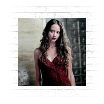 Amy Acker Poster