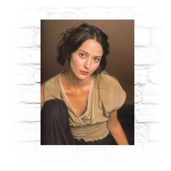 Amy Acker Metal Wall Art