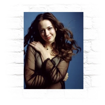 Amy Acker Metal Wall Art