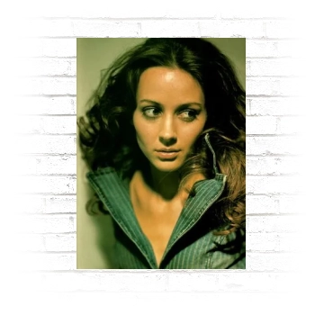 Amy Acker Poster