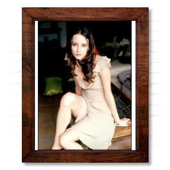 Amy Acker 14x17