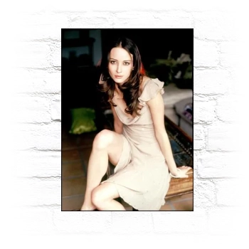 Amy Acker Metal Wall Art