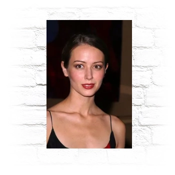 Amy Acker Metal Wall Art