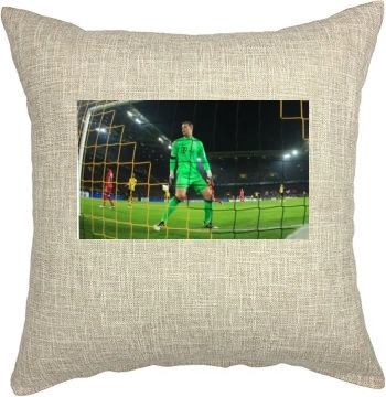 FC Bayern Munich Pillow