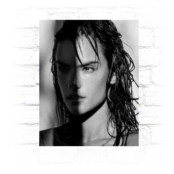 Alessandra Ambrosio Metal Wall Art