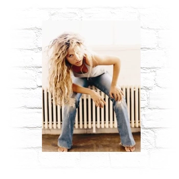 Shakira Metal Wall Art