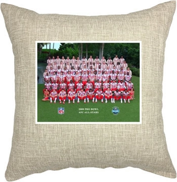 Houston Texans Pillow