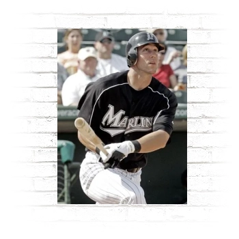 Florida Marlins Poster