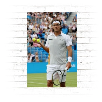 Feliciano Lopez Poster