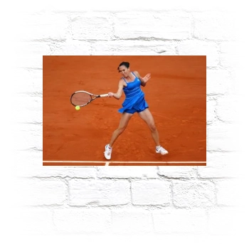 Jelena Jankovic Metal Wall Art