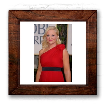 Amy Poehler 6x6