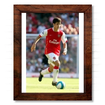 FC Arsenal 14x17