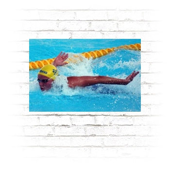 FINA Poster