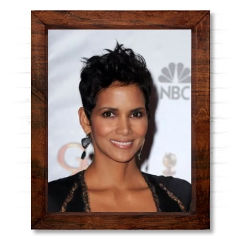 Halle Berry 14x17