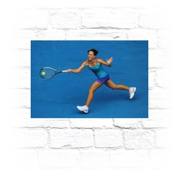 Jelena Jankovic Metal Wall Art