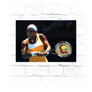 Serena Williams Metal Wall Art